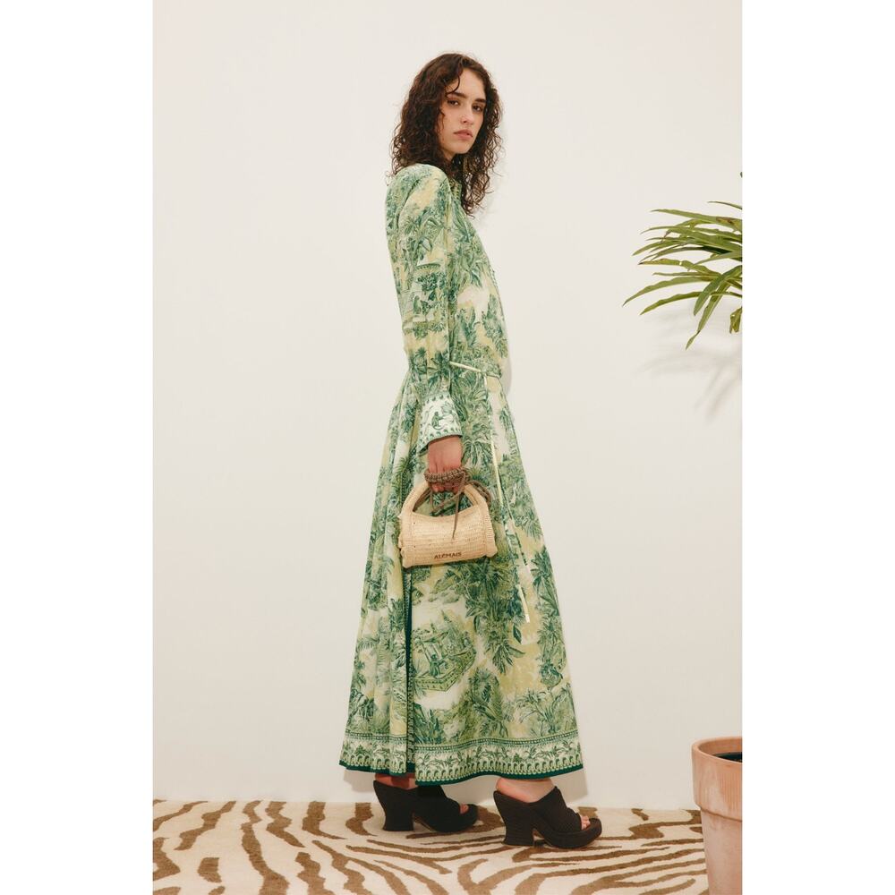 Alemais Sara belted printed cotton and silk-blend maxi dress - Picture 3 of 12